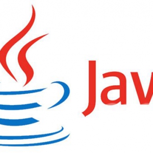Java，传奇的一生！